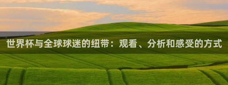 2026足球世界杯赛程时间表：世界杯与全球球迷的纽带：观看、分析和感受的方式
