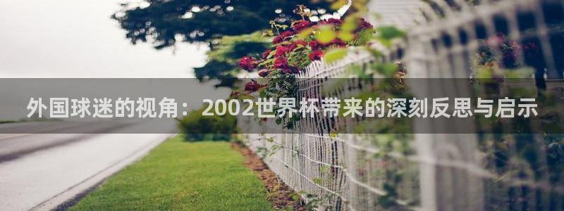 世界杯预选赛排名：外国球迷的视角：2002世界杯带来的深刻反思与启示