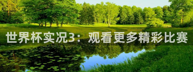 西超杯直播：世界杯实况3：观看更多精彩比赛