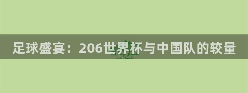2026年世界杯时间表：足球盛宴：206世界杯与中国队的较量