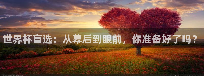 足球世界杯2026年赛程时间表：世界杯盲选：从幕后到眼前，你准备好了吗？
