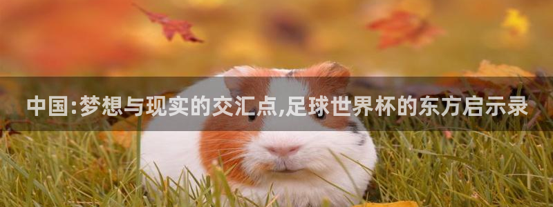 世界杯今年：中国:梦想与现实的交汇点,足球世界杯的东方启示录