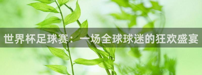2026男足世界杯赛程：世界杯足球赛：一场全球球迷的狂欢盛宴