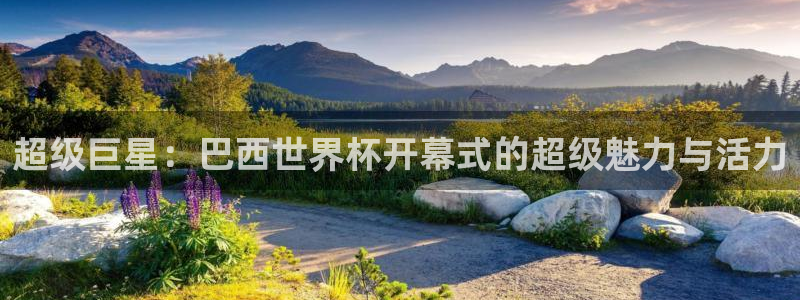 2026世界杯日期：超级巨星：巴西世界杯开幕式的超级魅力与活力