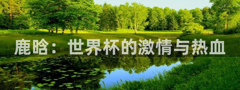 世界杯16强赛程表：鹿晗：世界杯的激情与热血