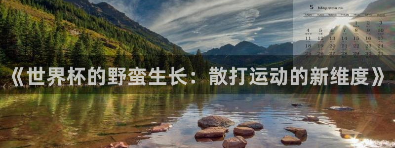 欧洲世预赛赛程表：《世界杯的野蛮生长：散打运动的新维度》