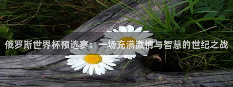 葡萄牙世界杯赛程：俄罗斯世界杯预选赛：一场充满激情与智慧的世纪之战