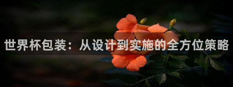 2026世界杯亚洲区预选赛：世界杯包装：从设计到实施的全方位策略